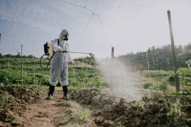 Best Local Pest Control Services  in Stockton, UT