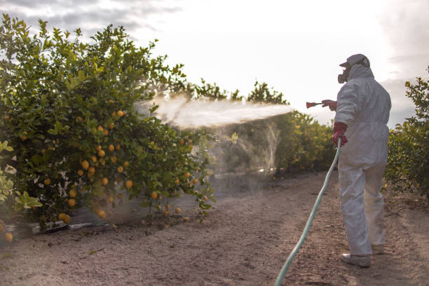 Best Residential Pest Control  in Stockton, UT